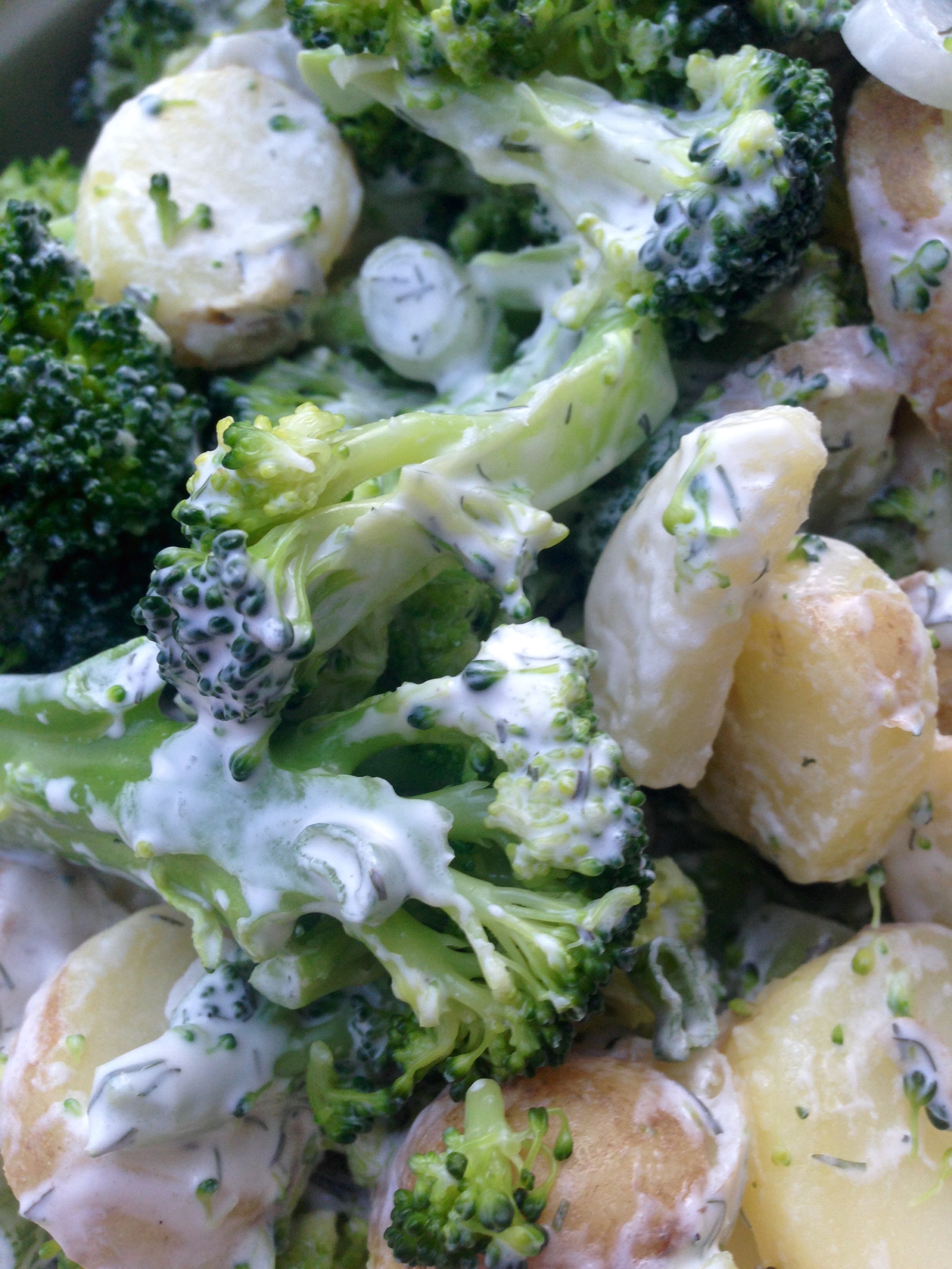 Broccolisalat med kartoffel og forårsløg